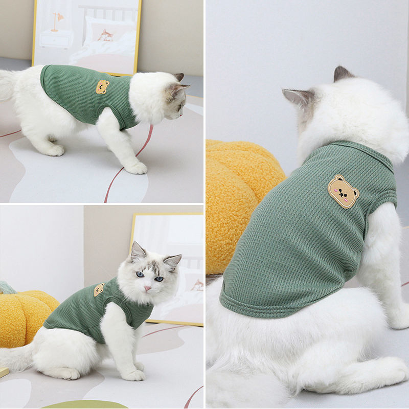 1 ud. oso verde chaleco para m - Summer Green Clothing reseña y precio