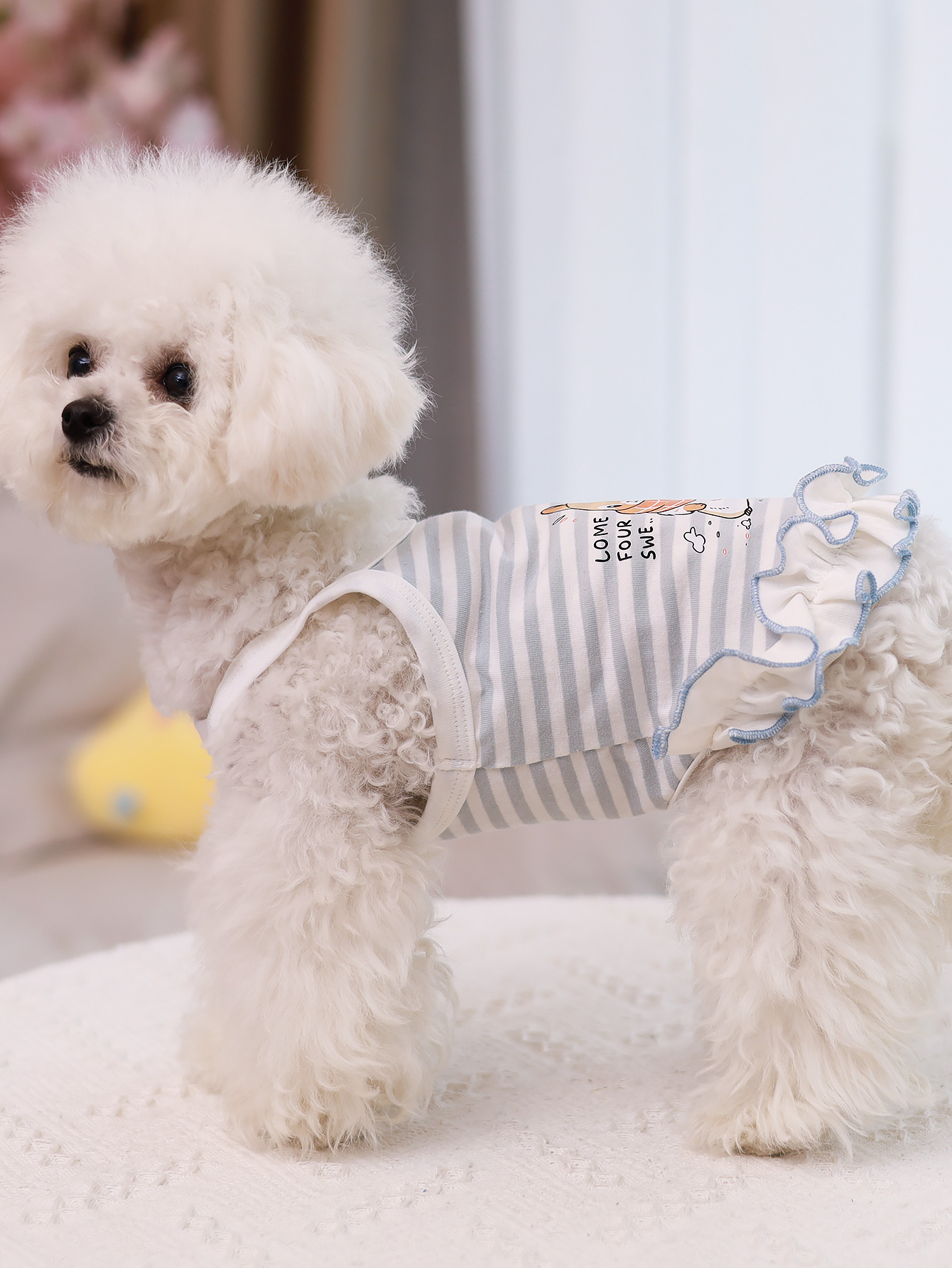 Chaleco para perros, ropa para - Summer Clothing Material reseña y precio